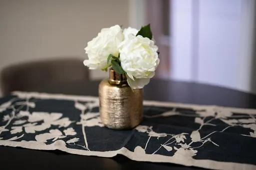 Apartament Dream House-camilla