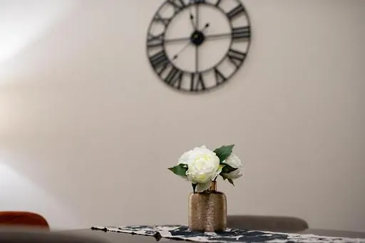 Apartament Dream House-camilla